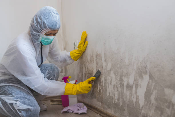 Best Mold Testing  in Markle, IN