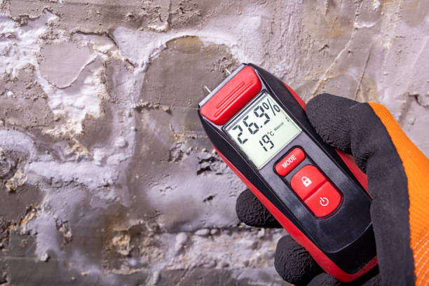 Trusted Markle, IN Mold Removal Experts