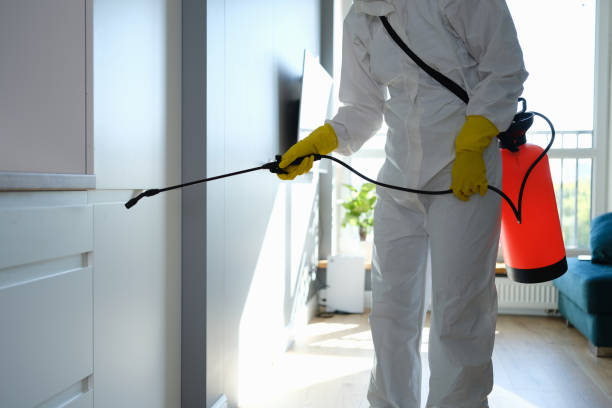 Best Affordable Mold Removal  in Markle, IN