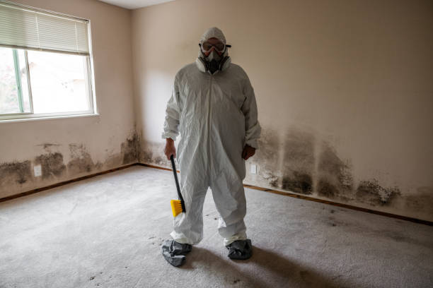 Best Crawl Space Mold Removal  in Markle, IN